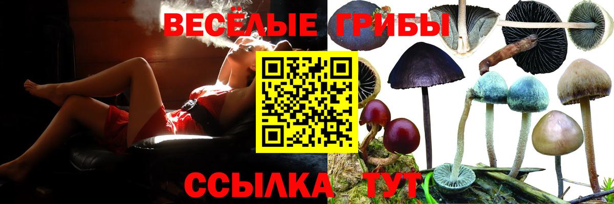 Псилоцибиновые грибы мицелий Белорецк